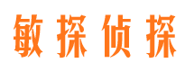 宁安市私家侦探